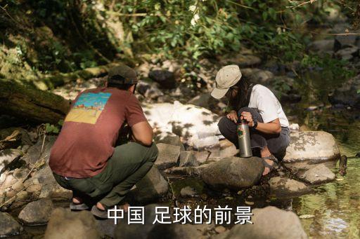 中國 足球的前景
