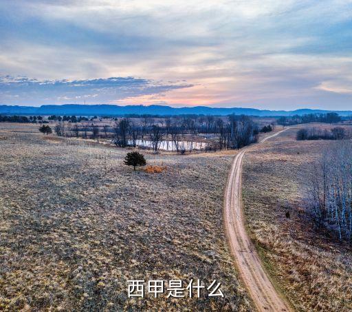 西甲是什么