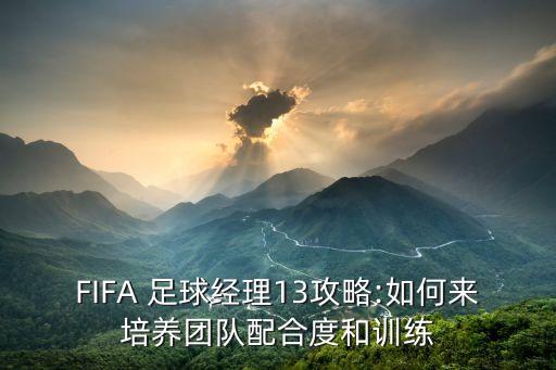 FIFA 足球經(jīng)理13攻略:如何來(lái)培養(yǎng)團(tuán)隊(duì)配合度和訓(xùn)練