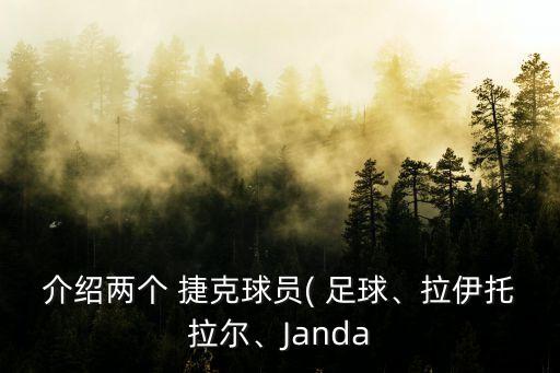 介紹兩個(gè) 捷克球員( 足球、拉伊托拉爾、Janda