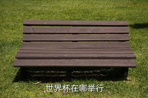 世界足球杯現(xiàn)場部署,2022世界足球杯直播