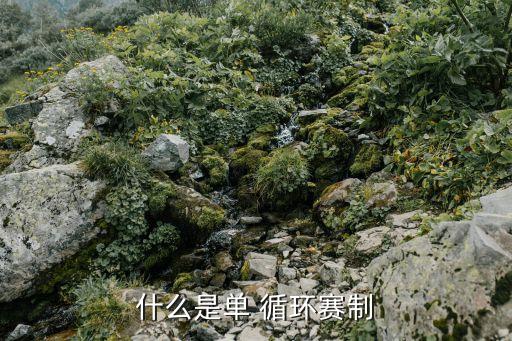 什么是單 循環(huán)賽制