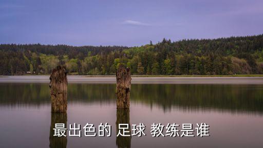 最出色的 足球 教練是誰