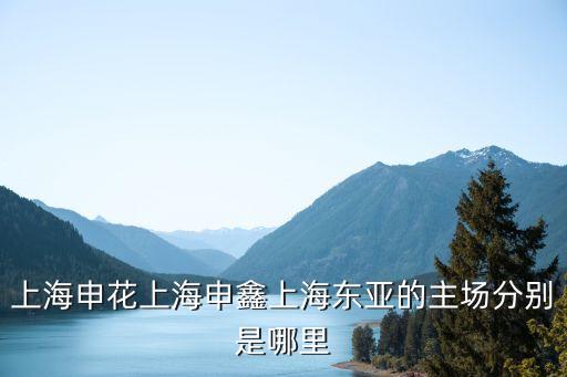 上海申花上海申鑫上海東亞的主場(chǎng)分別是哪里