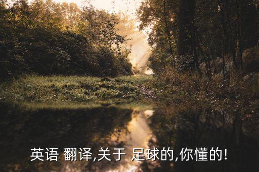 如何當(dāng)好一個(gè)足球翻譯