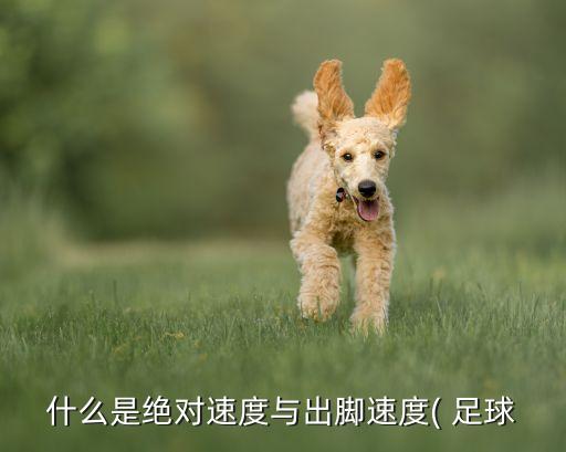什么是絕對速度與出腳速度( 足球
