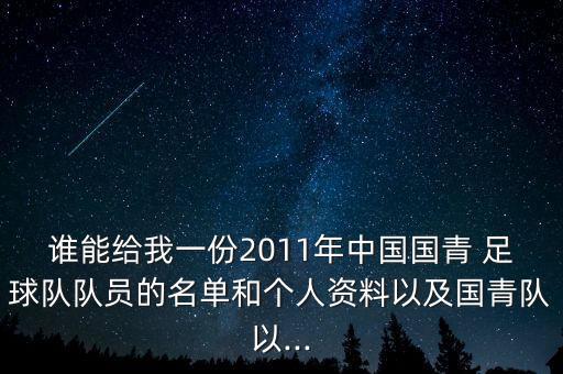 誰能給我一份2011年中國國青 足球隊(duì)隊(duì)員的名單和個人資料以及國青隊(duì)以...