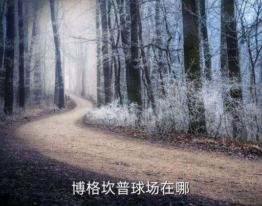 博格坎普球場在哪