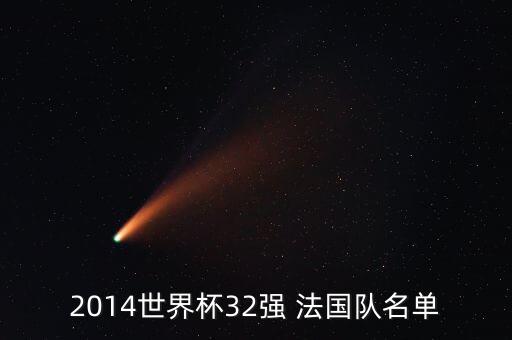 2014世界杯32強 法國隊名單