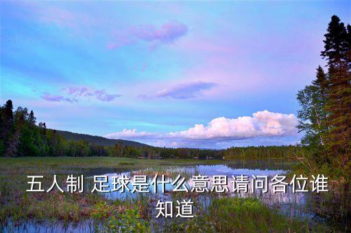 2017全運(yùn)會(huì)五人制足球