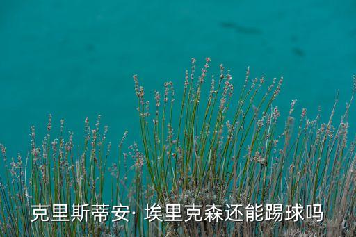 瑞典足球運(yùn)動(dòng)員埃里克森,丹麥足球運(yùn)動(dòng)員埃里克森現(xiàn)狀