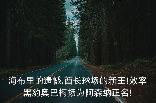 海布里的遺憾,酋長球場的新王!效率黑豹奧巴梅揚(yáng)為阿森納正名!