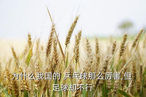 為什么我國(guó)的 乒乓球那么厲害,但 足球卻不行