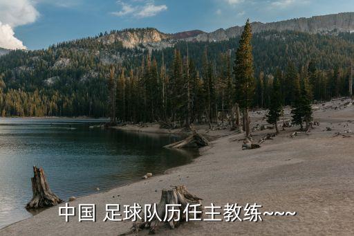 中國 足球隊歷任主教練~~~