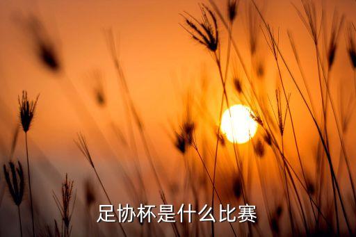 足協(xié)杯是什么比賽