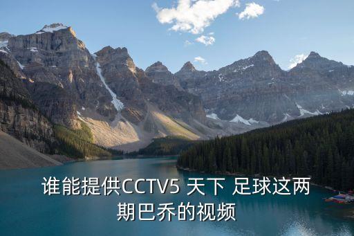 誰(shuí)能提供CCTV5 天下 足球這兩期巴喬的視頻