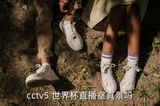 cctv5 世界杯直播室真景嗎