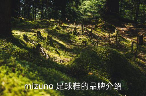 mizuno 足球鞋的品牌介紹