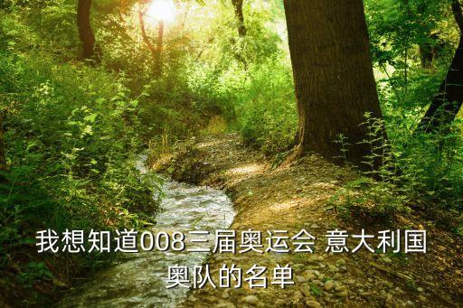 我想知道008三屆奧運會 意大利國奧隊的名單