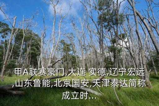 甲A聯(lián)賽豪門,大連 實德,遼寧宏遠,山東魯能,北京國安,天津泰達簡稱成立時...