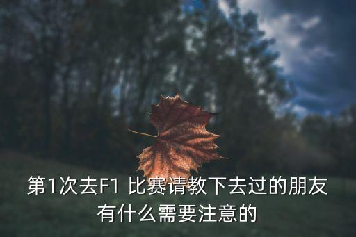 第1次去F1 比賽請教下去過(guò)的朋友有什么需要注意的