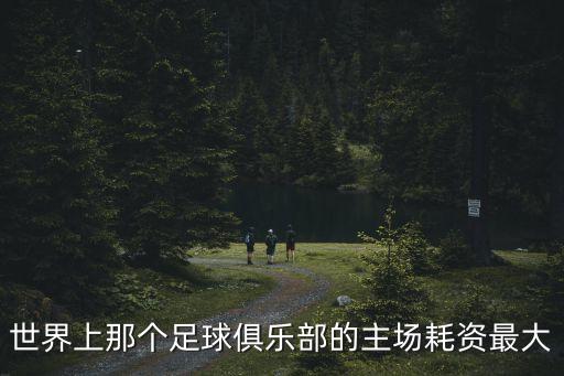 投資 建 足球場 回報,私人投資足球場要多少錢