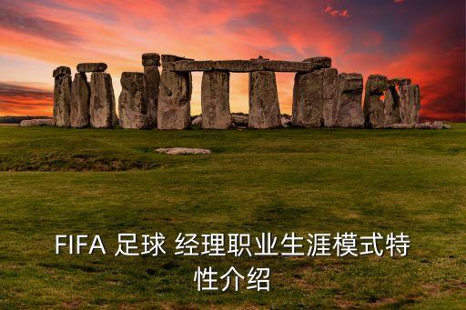 fifa足球經(jīng)理14隊長