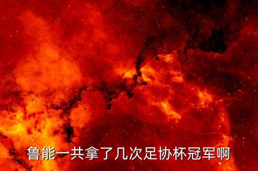 魯能一共拿了幾次足協(xié)杯冠軍啊