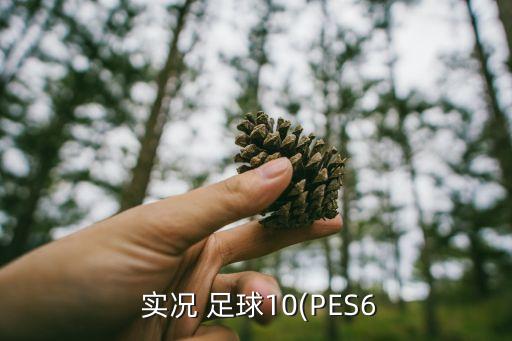 實(shí)況足球2016妖人門將推薦