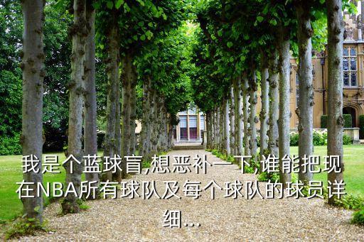 實況足球2017 巴克利