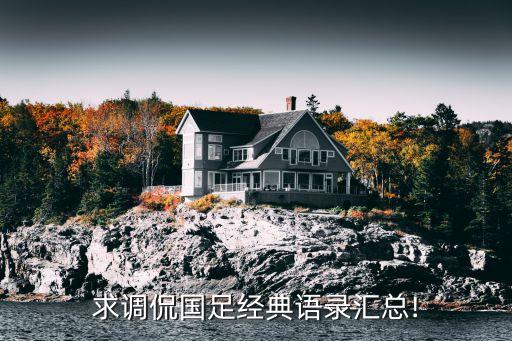 求調(diào)侃國足經(jīng)典語錄匯總!