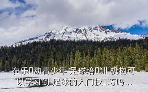 在樂(lè)?動(dòng)青少年 足球培?訓(xùn) 機(jī)構(gòu)可以學(xué)習(xí)到 足球的入門技?巧嗎...