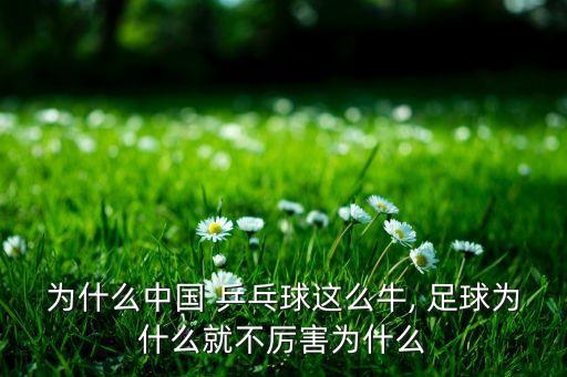為什么中國(guó) 乒乓球這么牛, 足球?yàn)槭裁淳筒粎柡槭裁? class=