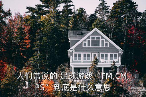 人們常說的 足球游戲“FM,CM,PS”到底是什么意思