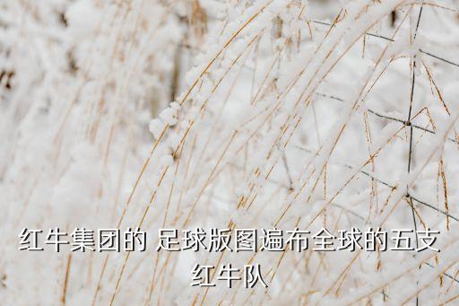 紅牛集團(tuán)的 足球版圖遍布全球的五支紅牛隊(duì)