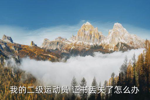 我的二級(jí)運(yùn)動(dòng)員 證書丟失了怎么辦