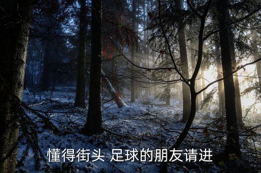 懂得街頭 足球的朋友請進(jìn)