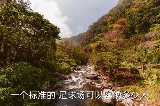 一個(gè)標(biāo)準(zhǔn)的 足球場(chǎng)可以容納多少人