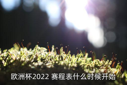 歐洲杯2022 賽程表什么時(shí)候開(kāi)始