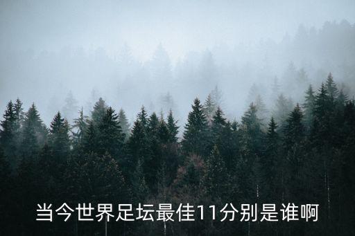 當今世界足壇最佳11分別是誰(shuí)啊