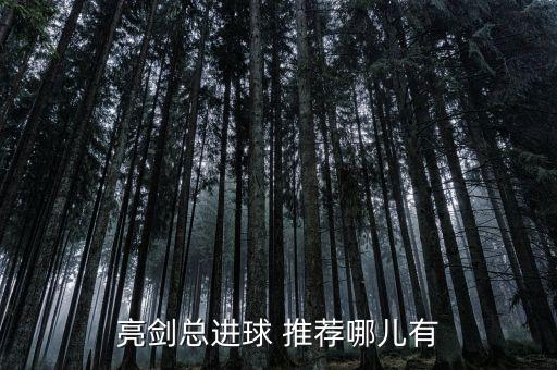 亮劍總進(jìn)球 推薦哪兒有