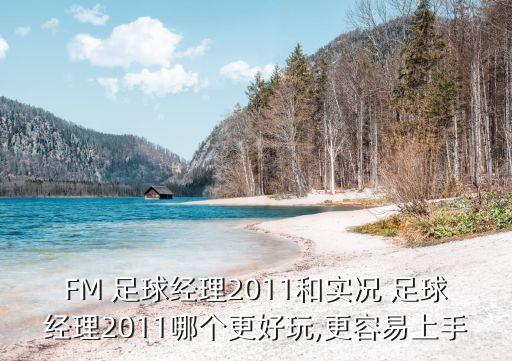 FM 足球經(jīng)理2011和實況 足球經(jīng)理2011哪個更好玩,更容易上手