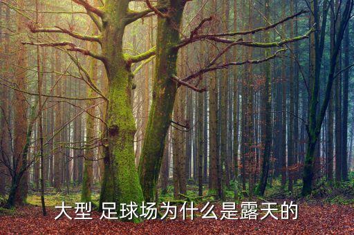 大型 足球場(chǎng)為什么是露天的