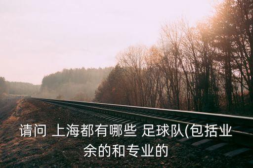 請(qǐng)問(wèn) 上海都有哪些 足球隊(duì)(包括業(yè)余的和專(zhuān)業(yè)的