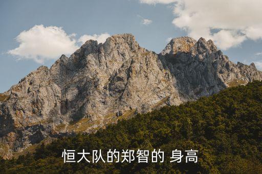 身高兩米的足球運(yùn)動(dòng)員,足球運(yùn)動(dòng)員梅西身高多少