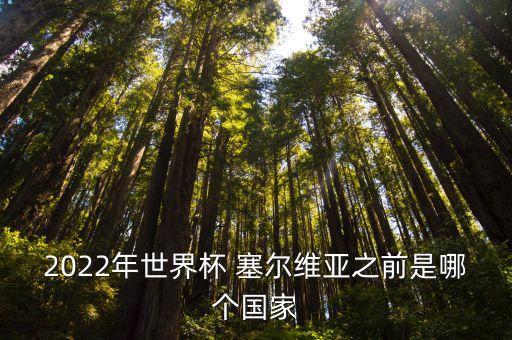 2022年世界杯 塞爾維亞之前是哪個國家