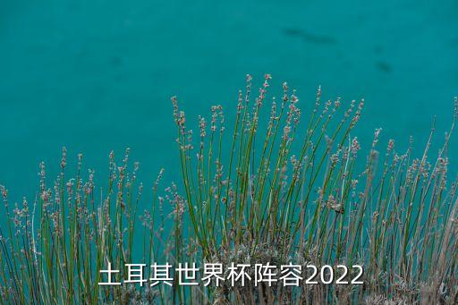  土耳其世界杯陣容2022