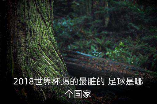 智利塞爾維亞足球國家隊,智利男子足球國家隊
