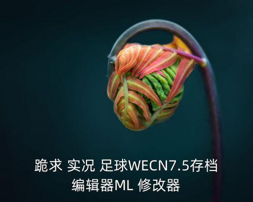 跪求 實況 足球WECN7.5存檔編輯器ML 修改器