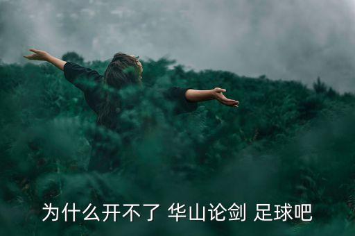 華山倫劍足球吧,華山論劍20年多少錢